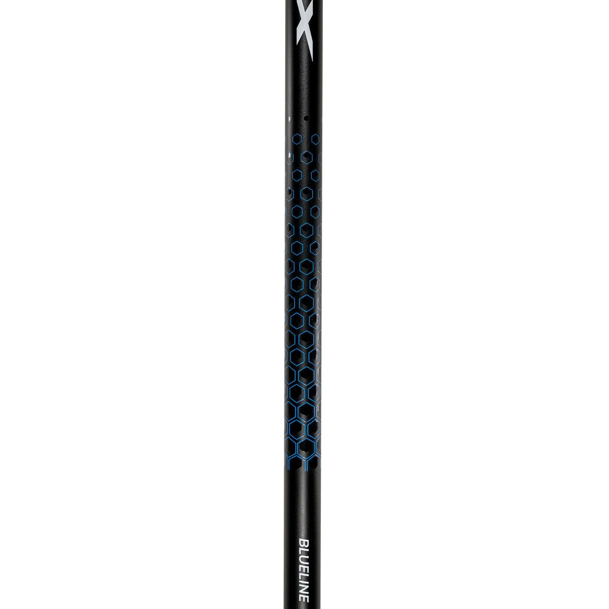 Blueline Barracuda