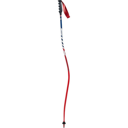WC Pro Downhill - carbon